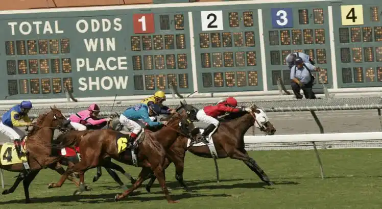 Horse Racing